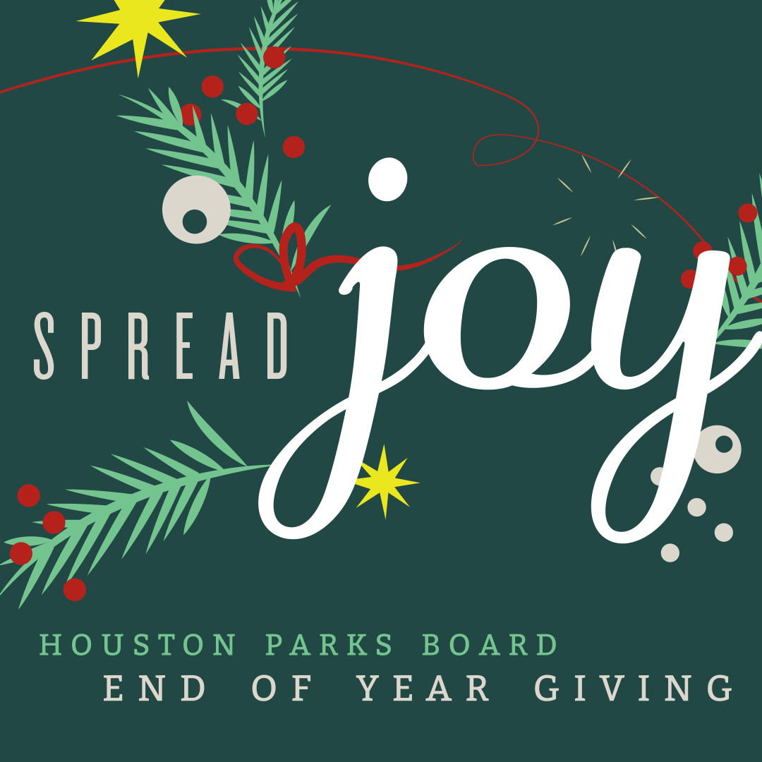 Houston Parks Board End of Year Giving Animated Instagram