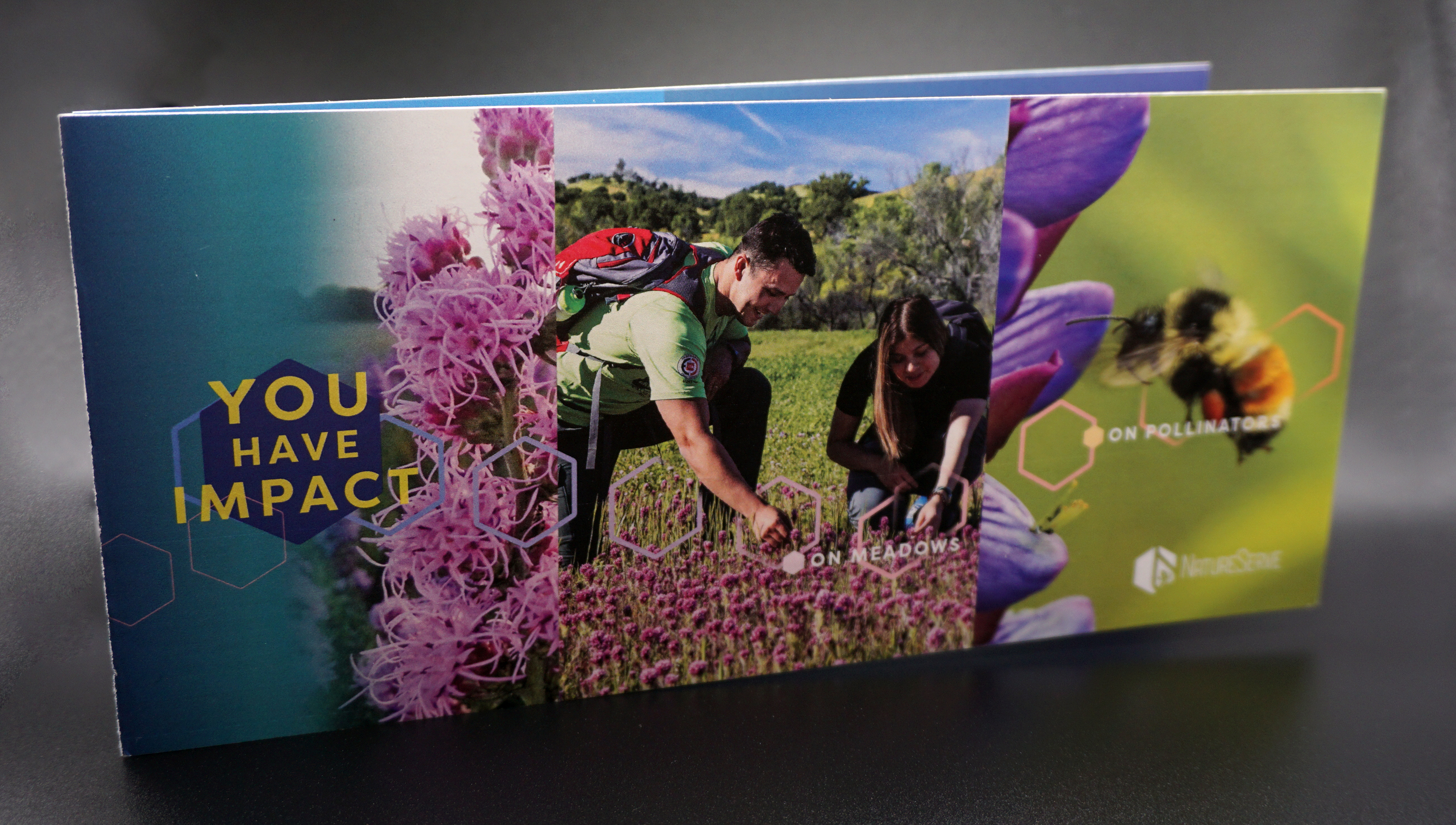 NatureServe 2025 Spring Campaign