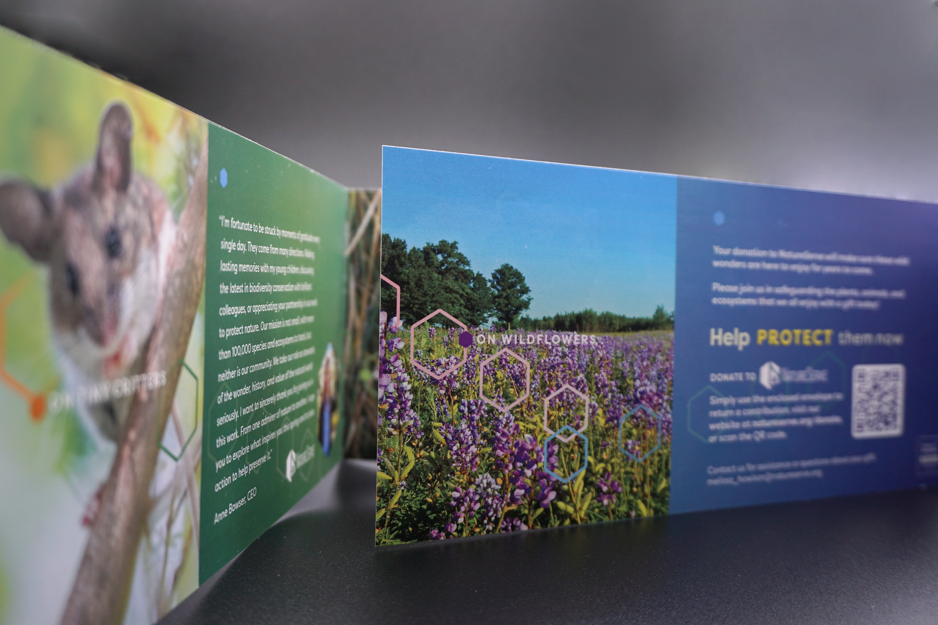 NatureServe 2025 Spring Campaign