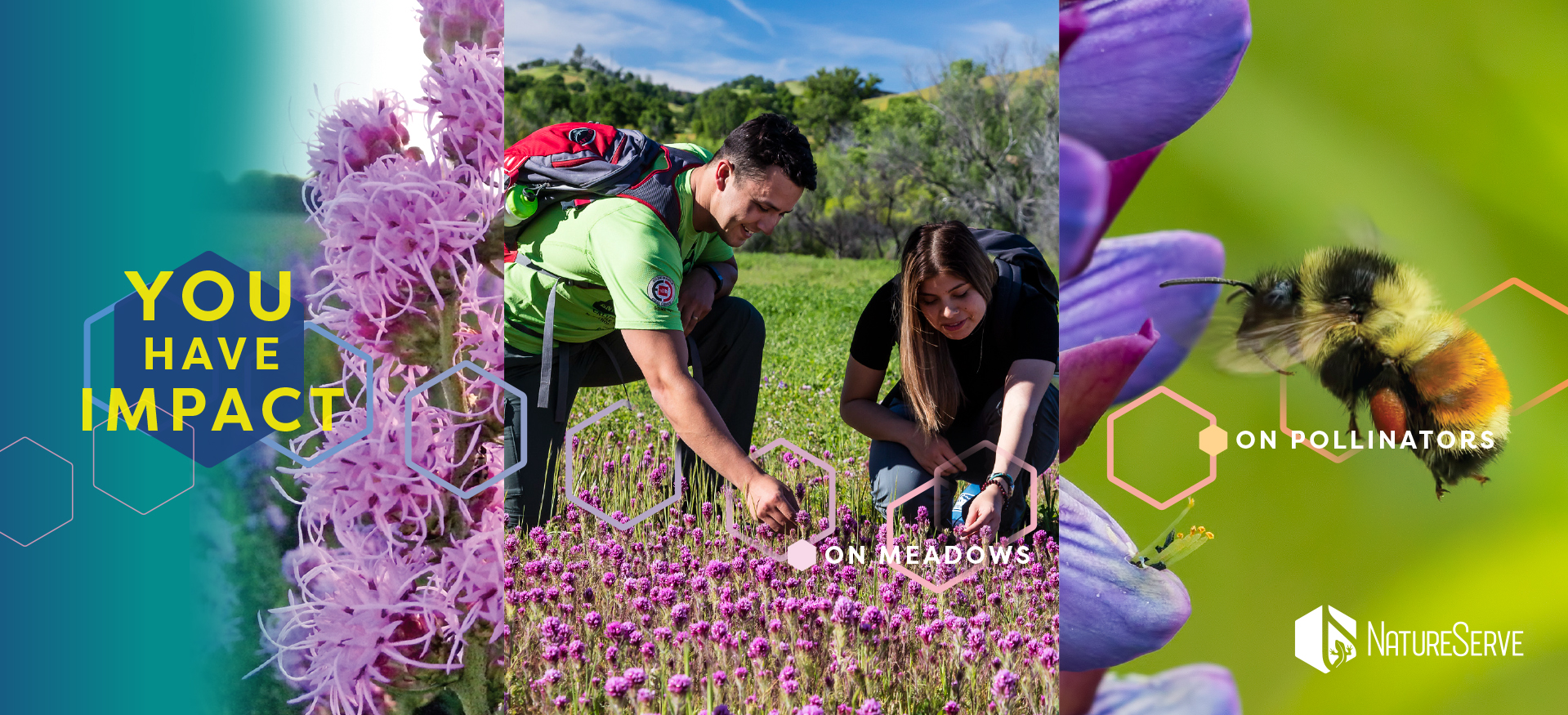 NatureServe 2025 Spring Campaign