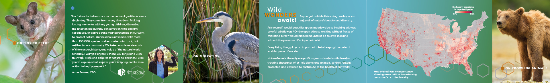 NatureServe 2025 Spring Campaign