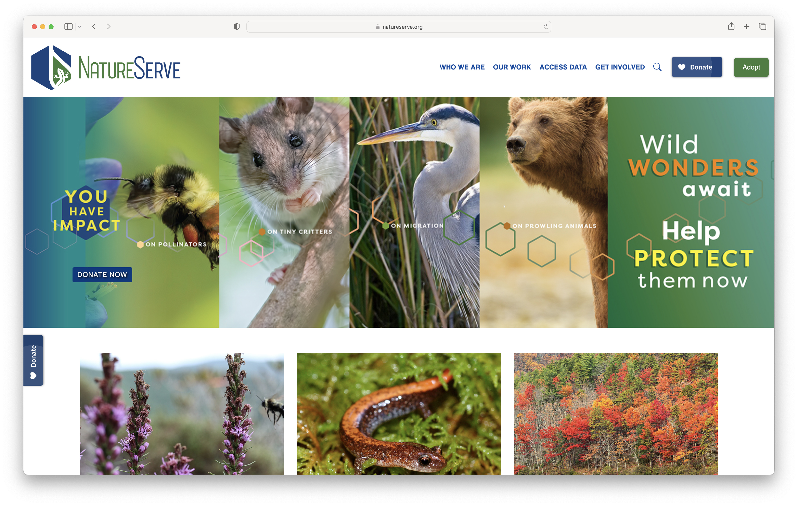 NatureServe 2025 Spring Campaign