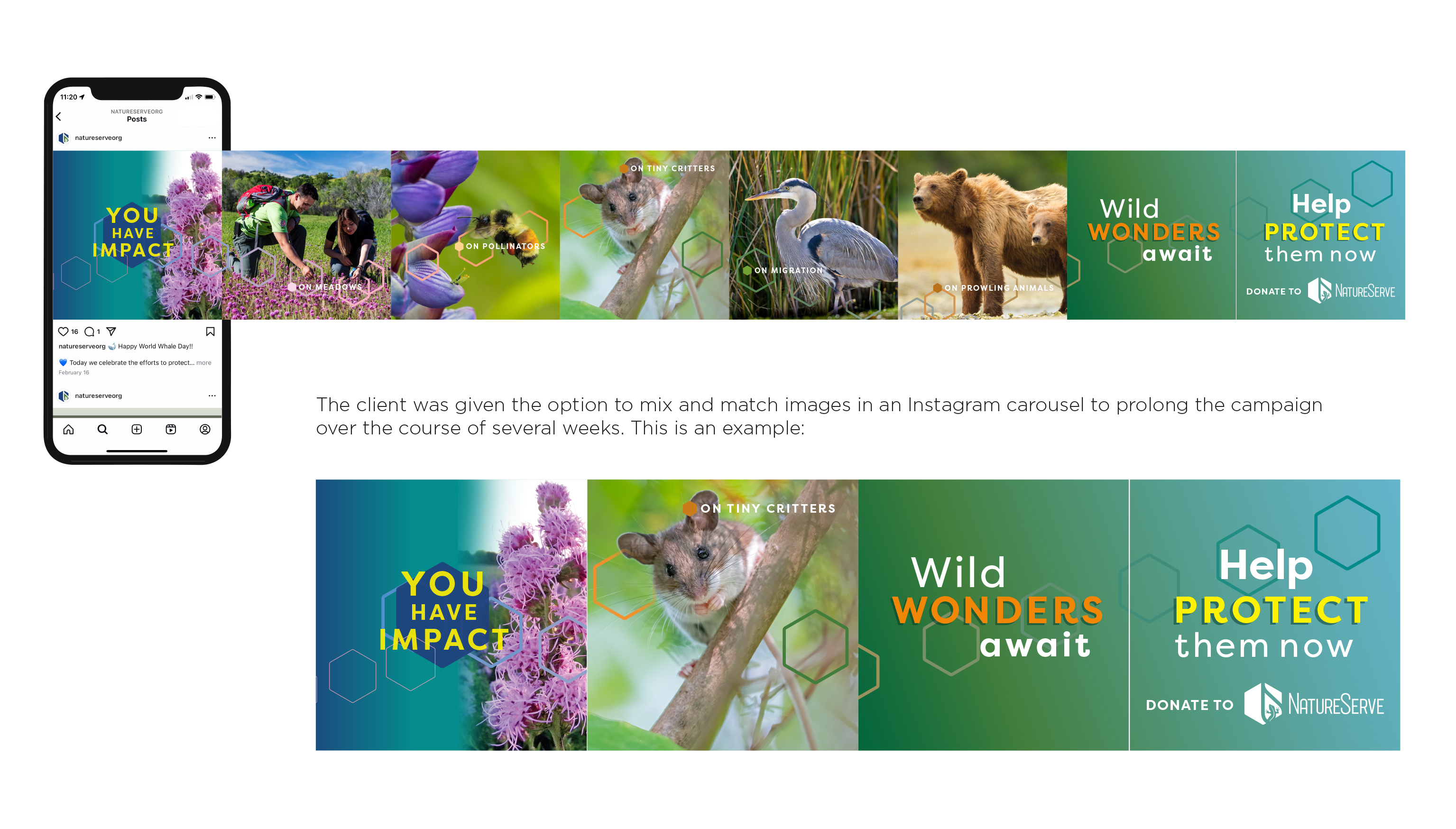 NatureServe 2025 Spring Campaign
