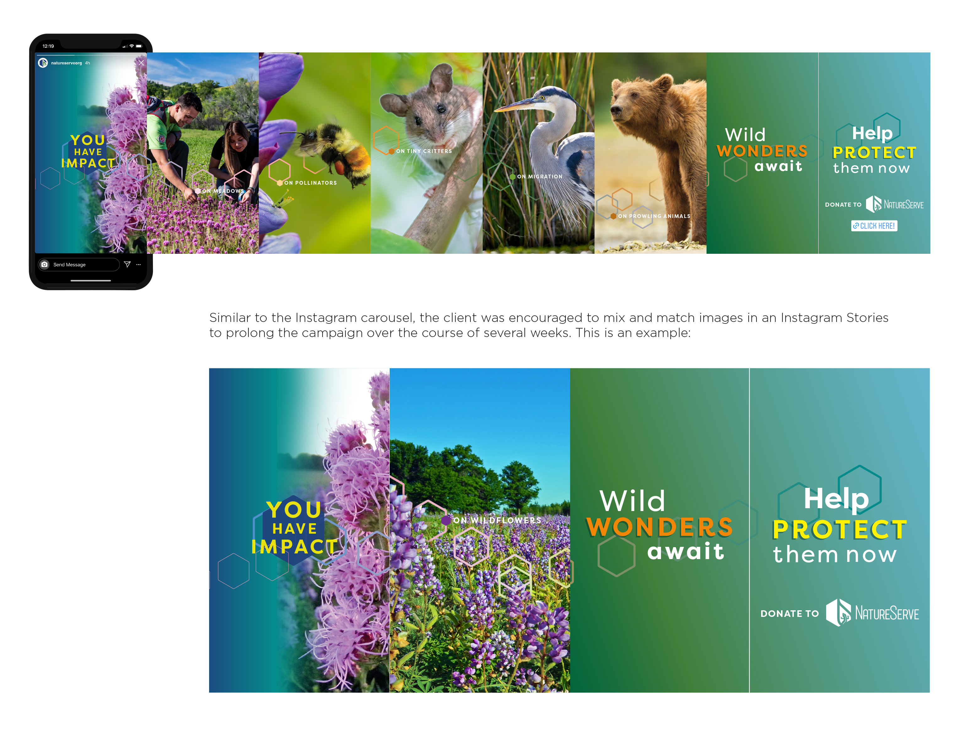 NatureServe 2025 Spring Campaign