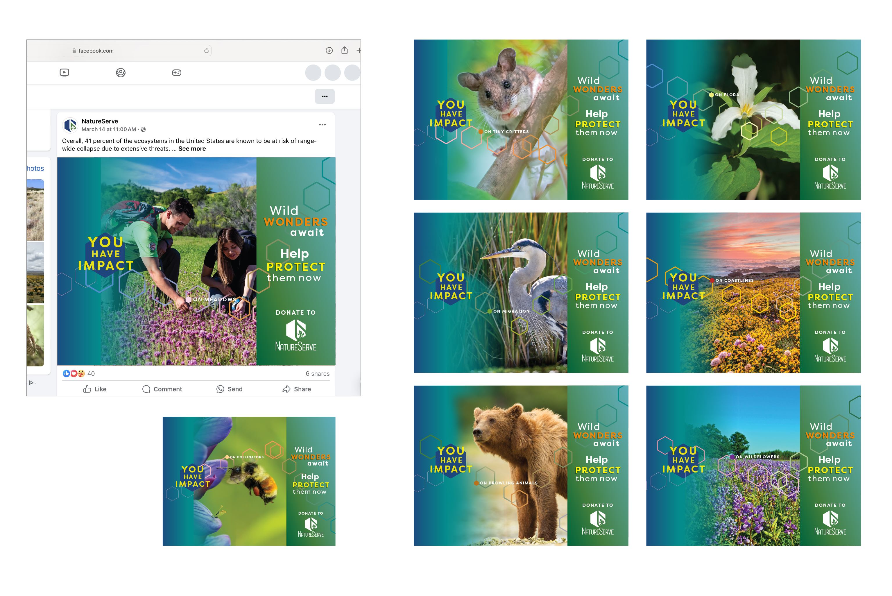 NatureServe 2025 Spring Campaign